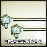 �`�{�X�����Ŵ�